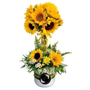 Diseño de Box en Girasoles