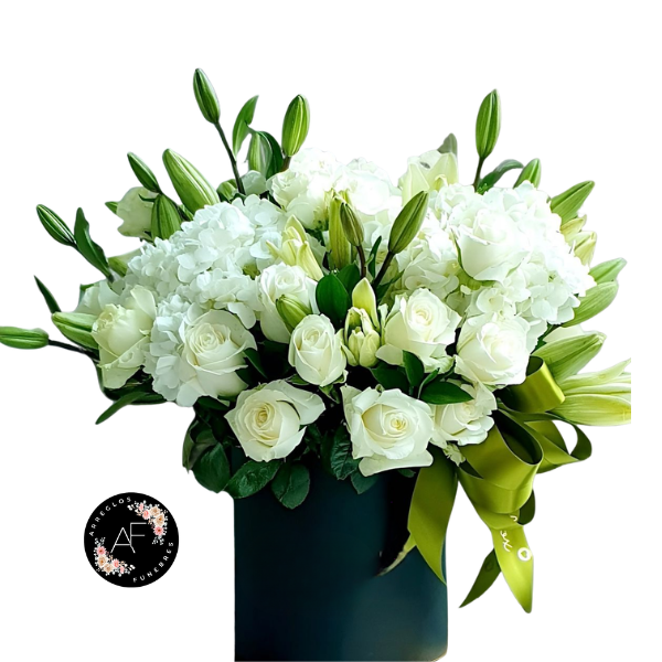Box Premium de Rosas y Hortensias
