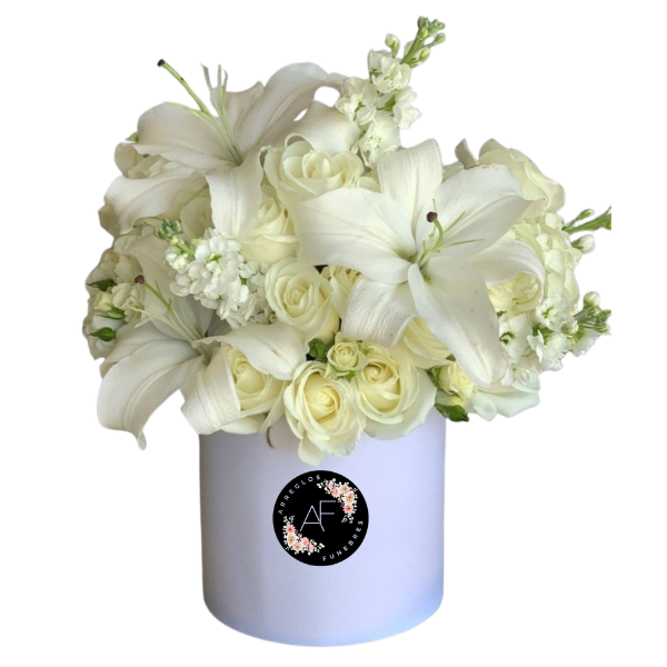 Lirios y Rosas en Box